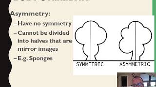 6  Grd 11 Biodiversity Of Animals Lesson Intro Symmetry Cephalisation [upl. by Enyamert119]