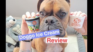 Frosty Paws VS Ben amp Jerrys  Doggo Ice Cream Review [upl. by Ennaeel]