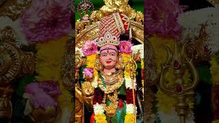 10th Day Annual Festival 2024 Alangaram Ealing Amman Temple [upl. by Avon]