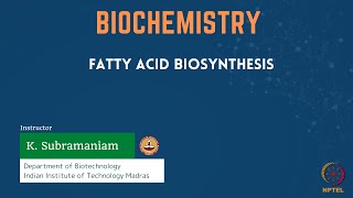 Fatty Acid Biosynthesis [upl. by Camile]