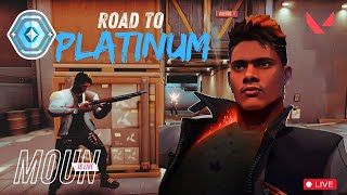 Road to Plat 🚩 Live Valorant shortstream [upl. by Bohannon]