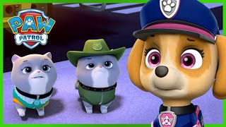 Misja ratunkowa pieski ratują królewskie kociaki  Psi Patrol PAW Patrol po polsku  Pup Tales [upl. by Cherry728]