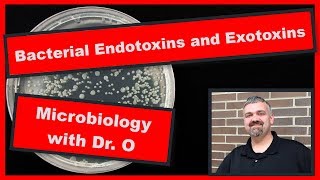 Bacterial Endotoxins and Exotoxins Microbiology [upl. by Kass46]