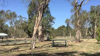 Rotary Park Free Camping  Echuca Victoria [upl. by Brendis415]