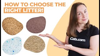 The BEST And WORST Types Of Cat Litters Explained [upl. by Zennas]