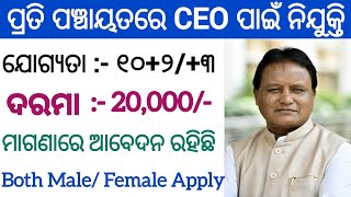 Odisha Panchayat CEO Recruitment 2024  Salary 20000  1023 Pass Apply Now Panchayat Level Job [upl. by Ennyletak326]