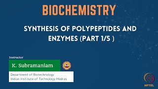 Synthesis of Polypeptides and Enzymes Part 15 [upl. by Hgielar982]