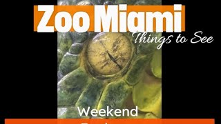 Zoo Miami [upl. by Eveam]