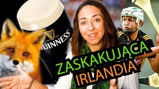 🇮🇪 12 zaskakujących rzeczy w Irlandii [upl. by Ynagoham]