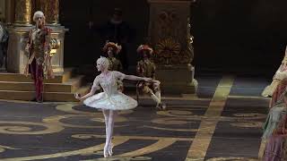 Ksenia Zhiganshina Bolshoi Ballet Aurora wedding variation The Sleeping Beauty [upl. by Haik]