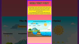 Hydrological Cycle  Water Cycle  scienceeducation edexmy youtubeshorts [upl. by Sonitnatsok]