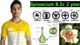 What is Gynoecium  Morphology of flowering plants [upl. by Coltin]