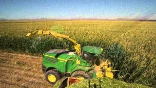 SelfPropelled Forage Harvester Precision Ag Technology [upl. by Almita]