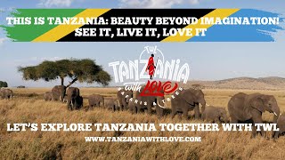 Affordable Tanzania Safaris  Private Big 5 Wildlife Tours Serengeti amp Ngorongoro Adventures [upl. by Casie]