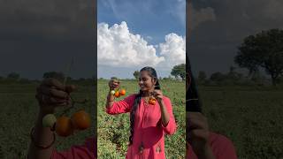 First time బెండకాయ టమాటో తోట కి వెలాం😍farming tomatofarm ladiesfinger chilliesfarm minivlog [upl. by Ardel]