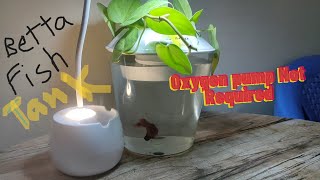 UNBOXING BETTA FISH TANK [upl. by Kenwrick]