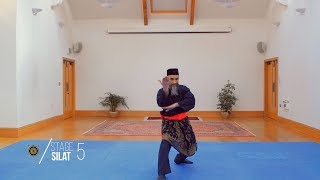 FIVE STAGES OF SILAT  STAGE FIVE [upl. by Aikan]