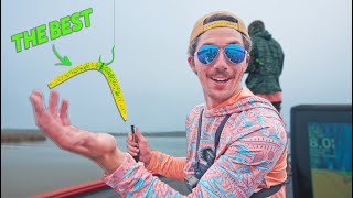 THIS Is The Best Spring Bass Fishing Lure [upl. by Zealand804]