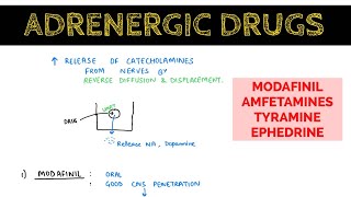 Autonomic Pharmacology  17  Indirectly amp Mixed Acting Adrenergic Drugs  EOMS [upl. by Oloap130]