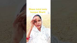 Dhanva ke bhav Tani bade de tu dhaniyaBhojpuri songRitesh Pande kaviral short video🙏🙏🙏 [upl. by Inalel]