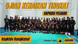 UJIAN KENAIKAN TINGKAT HAPKIDO LAMPUNGPESISIR BARAT 28 JANUARI 2024HAPKIDO BANGKUNAT [upl. by Chrysler]