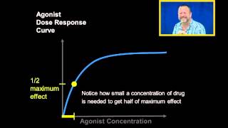 Agonist Dose Response Curves [upl. by Meedan919]