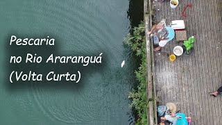 Pesqueiro Rio Araranguá  Volta Curta  Pescaria de Tainha [upl. by Odinevneib951]