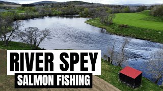 Spring Salmon Fishing On The River Spey [upl. by Tenaj]