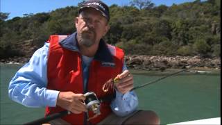 Tips for Jigging Lucanus Jigs to Catch Cobia [upl. by Medina]