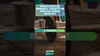 Targeting the Erector Spinae Muscles  Fitness Trivia [upl. by Elkcim440]