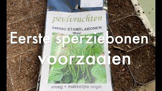 Inis Moestuin 183  Eerste sperziebonen zaaien amp alle voordelen van groenbemesters op een rij [upl. by Aliehs148]