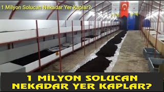 1 Milyon Solucan Ne kadar Yer Kaplar Sayısı Nasıl Hesaplanır [upl. by Ahseele445]