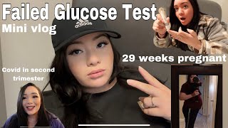 Failed my glucose test  Pregnancy is not what I thought it’d be  Mini second trimester recap [upl. by Yekim]