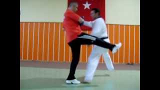 8Bazı durumlarda taktik çalışmaları Taekwondo Antrenörlük Kursu Dr Şakir Bezci [upl. by Doownyl]