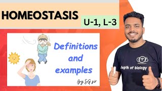 what is homeostasis  homeostasis in hindi  homeostasis in the human body  homeostasis class 11 [upl. by Assenal990]