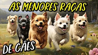 Os Menores cães do mundo  E suas Respectivas Raças e Etnias [upl. by Krystin28]