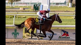 Kentucky Derby 2022 prep race analysis  Louisiana Derby [upl. by Albion]