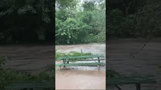 Severe flooding from continuous rain in West Hartford Connecticut [upl. by Alexi890]