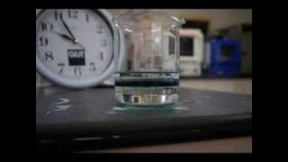 Time Lapse of Polyaniline Synthesis [upl. by Nnalatsyrc642]