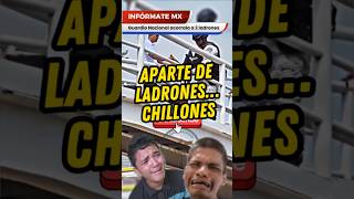 Aparte de ladrones… Chillones 😹guardianacional delincuente mexico [upl. by Latini]