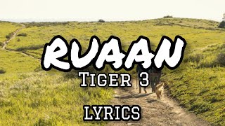 TIGER 3  RUAAN  LYRICS [upl. by Kleper651]