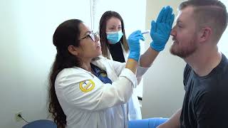 What Does A Physician Assistant Do  Physician Assistant  South University [upl. by Bunow]