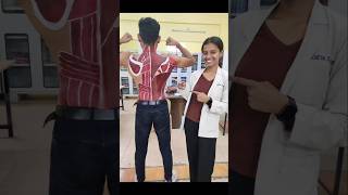 Anatomy body painting competitiomGovernment Physiotherapy College Raipur anatomy trending shorts [upl. by Wallie]