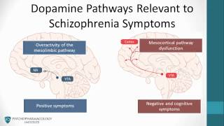 Psychopharmacology Antipsychotics amp The Dopamine Hypothesis [upl. by Horacio]