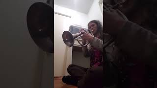 Flugelhorn vs Alto Flugelhorn [upl. by Modesty]