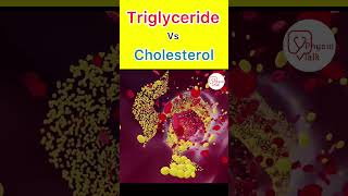 Triglyceride vs Cholesterol  Lipid profile test shorts triglycerides cholesterol [upl. by Jacynth614]