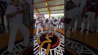 Capoeira Master capoeira dance capoeiragem artemarcial [upl. by Taran]