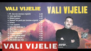 Vali Vijelie  Sunt o fata fericita [upl. by Aehtla]