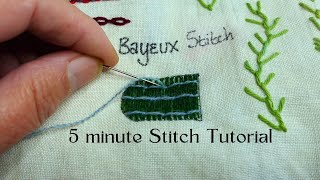 Master the Bayeux Stitch in 5 Minutes [upl. by Langston964]