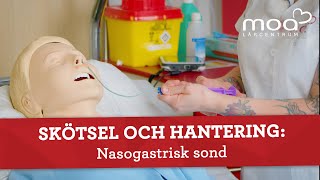 Skötsel och hantering  Nasogastrisk sond [upl. by Robinette188]